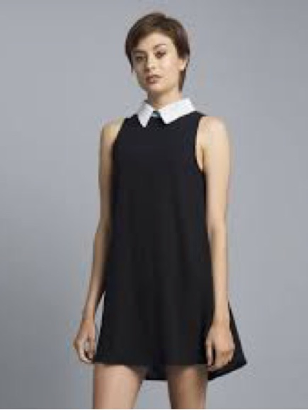Nwots Monteau Bkack Shift Dress with Peter Pan collar size M